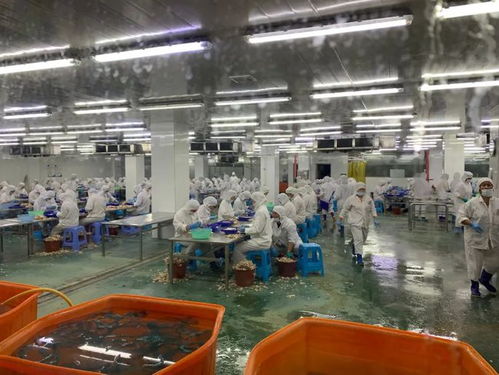 牛蛙豪華工廠登陸美國媒體，海之味引領循環水養殖新標準